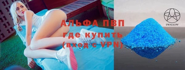 стафф Алзамай