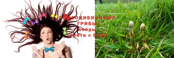 МДПВ Алексеевка
