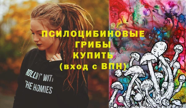 МДПВ Алексеевка